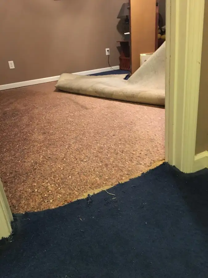 Carpet pad removal revealing water damage during Water Mitigation Services in Tallulah