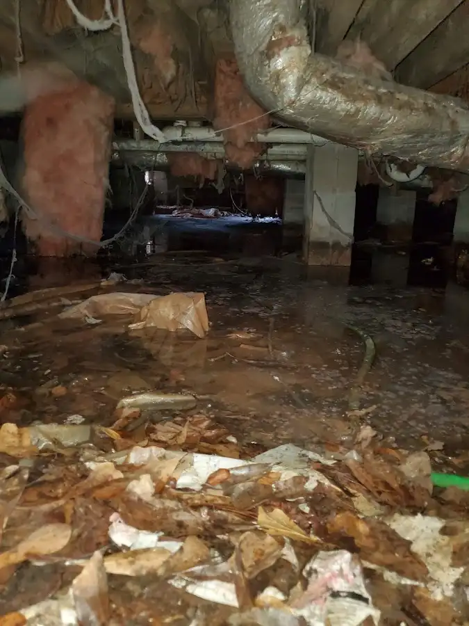 Crawl space flood assessment for Leak Detection & Repair in Tallulah