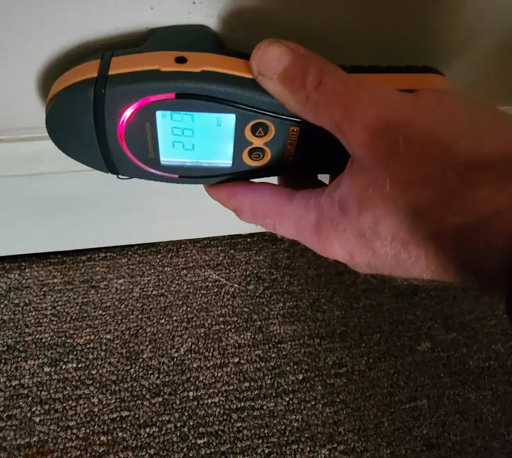 Moisture detection at baseboard during Sewage Cleanup & Sanitation in Tallulah